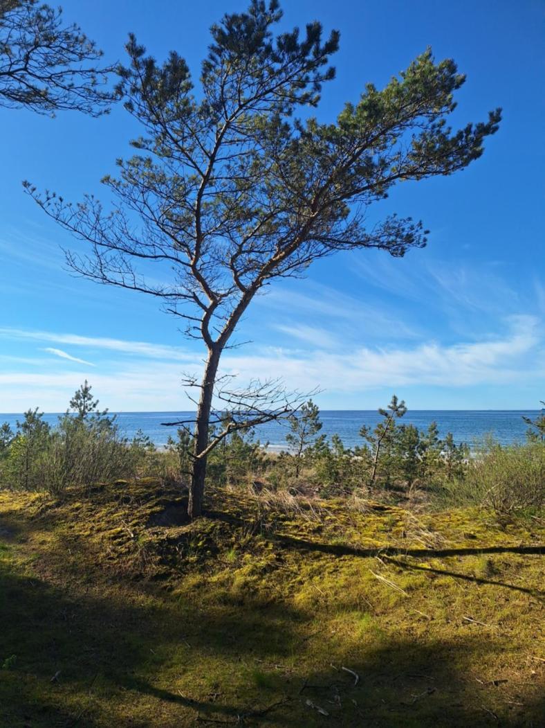 Helios Hotel Debki Bagian luar foto